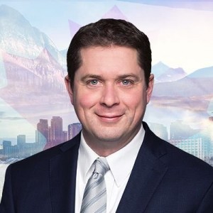 scheer